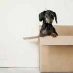 Find out the 3 most common moving mistakes people make. We will also show you how to avoid them and save time and money.