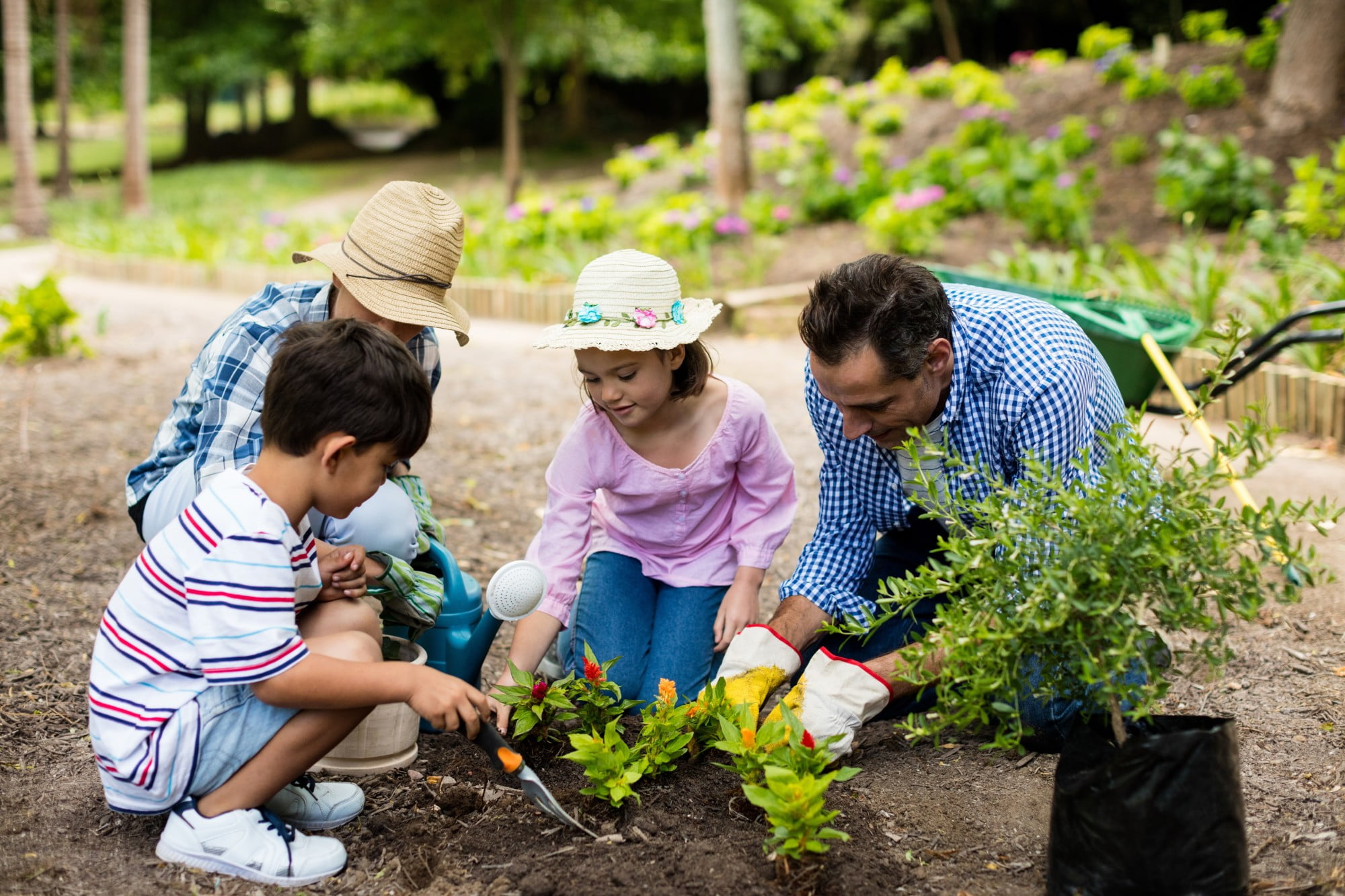 5 Incredible Health Benefits of Gardening - Finding Farina 