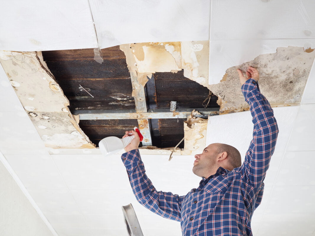 Does your home need mold remediation? Before you commit to the process, you ought to know how it all works, first. Check out this blog.