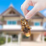 Wondering if home pest control services are really worth it? Check out our article to see the real benefits that come with it!