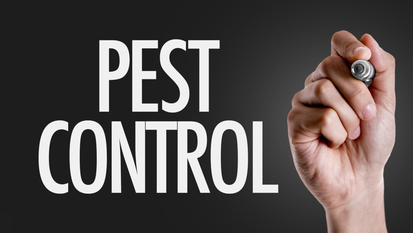 Pests can be devastating to your home, so what can you do? This guide explains 8 pest control tips every homeowner should know.