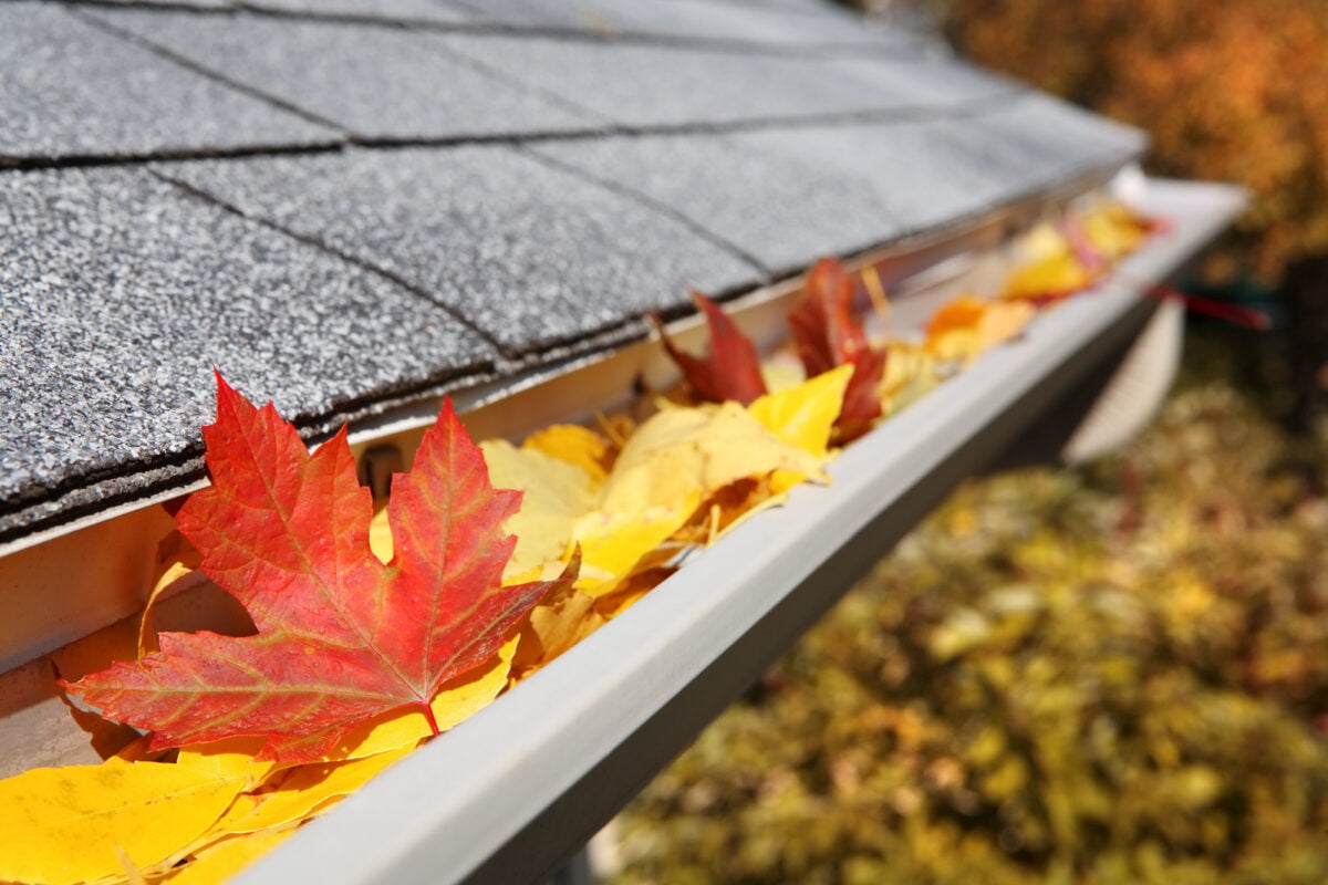 It is important to take care of your roof in order to prevent future problems. Here are 5 helpful roofing maintenance tips every homeowner should know.