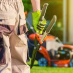 Are you interested in hiring a landscaper for your home? Before you do, learn about the most important mistakes to avoid during the hiring process.