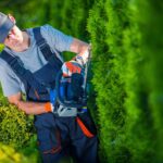 Landscape maintenance services range from lawn care to property management. Check out some of the most important of these services for any setting.