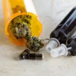 Marijuana has a plethora of properties that affect its smell and taste, such as terpenes. But what is a terpene? Find out here!