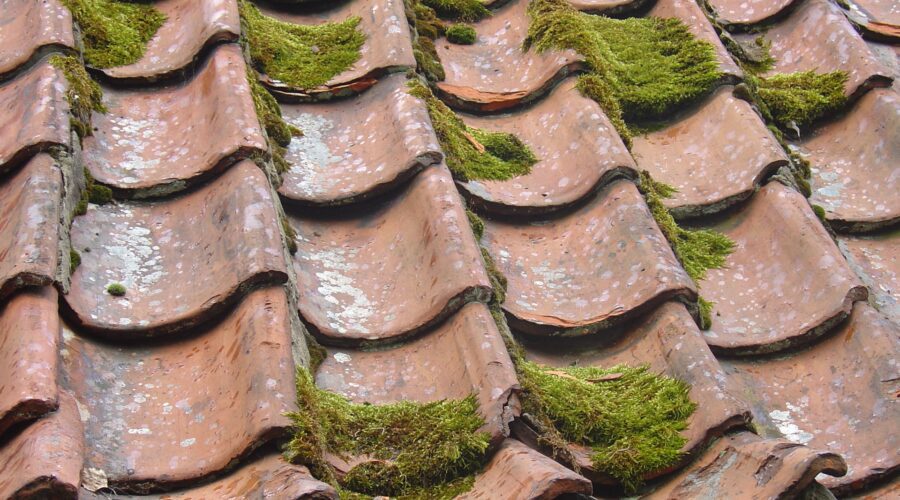 How Can a Roofing Company Maintain Your Roof? Most of the essential components of your house, like the plumbing, electrical work, foundation, and flooring, are very easy to maintain and repair. You can constantly keep an eye on these components and fix any issue as soon as it arises. But, roofing is another essential component of the house that often goes ignored. Most people follow the old saying, "out of sight, out of mind." Well, that should not be the case if you want to live in your house for a long time. A poorly installed, damaged, or inadequately maintained roof can deteriorate the condition of your whole home. It can dampen or break your dry walls, hamper the electrical work, and ruin your flooring. And may even expose you to atmospheric elements like rain or wind. Keller is a suburb of Fort Worth with a population of 46,813. It is in Tarrant County and is one of the best places to live in. However, in Kellar, it usually rains for seventy-six days. So, to avoid any breakage or leakage, you must regularly maintain your roof. There's a required skill set involved in accomplishing a task like roofing. Thus, you must call an expert Keller roofing company to help you repair or maintain the roof because they are an expert in their business. Here are some of the things a roofing company can do for your roof. Keep the gutters clean Contrary to popular opinion, gutters are an essential part of the roof. Any blockage in the gutters can cause the water to seep into your home. Once the water starts seeping, mold and mildew will follow. Moreover, excess moisture in the house also threatens your wooden flooring, furniture, paint, and drywall. The roofing company will clean out the gutters as leaves and debris can occasionally get stuck in them, restricting the drains and water flow. The roofing company will help eliminate the debris, but you must also keep your trees and bushes trimmed to some extent to prevent leaves from blowing into the gutters. Besides the leaves, the small branches cause more trouble to the gutters. Scan for cracked shingles According to reports, the median home value of Kellar is $386,200. If any of the shingles on your roof are cracked, they may act as a passageway for water or moisture to get into your home. Multiple cracked shingles make the house less soundproof and expose the bare roof to atmospheric elements. Shingles often get contracted under the hot sun. You must keep an eye out for any signs of broken shingles on your driveway or backyard. If you notice any broken, cracked, or shrunk shingles, you must contact a professional Keller roofing company to repair the shingles for you. Remove moss and mold During the rainy season, the overall humidity levels of the town increase, which makes your wet roof the perfect breeding ground for moss and mold. You can remove small amounts of moss and mold yourself by using chemical agents and scrubbing. However, if the moss is stuck on the roof and the majority of the roof looks, you must contact a professional to eliminate the moss. The roofing company will bring pressure washing equipment along with industrial-grade cleaning solutions to eliminate the moss or mold. So, these are some of the maintenance services a roofing company in Keller can provide.