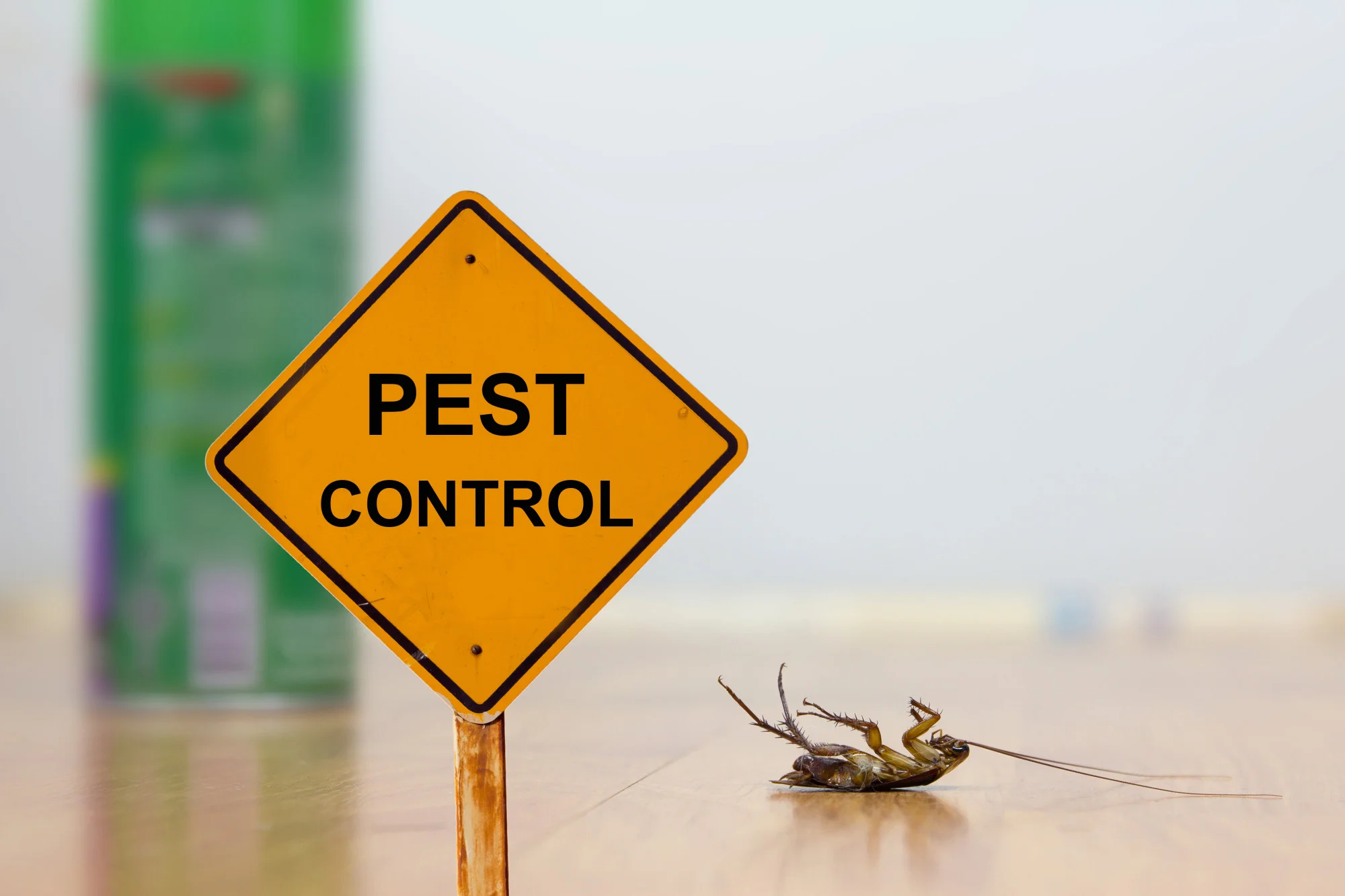 Pests are everywhere. They're not just annoying, but they can also be dangerous if left unchecked. Find out why pest control for homes is important.