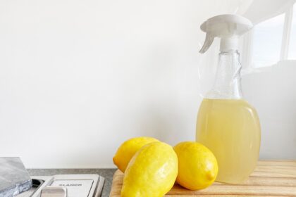 Embracing an Eco-Friendly Cleaning Routine in Your Home
