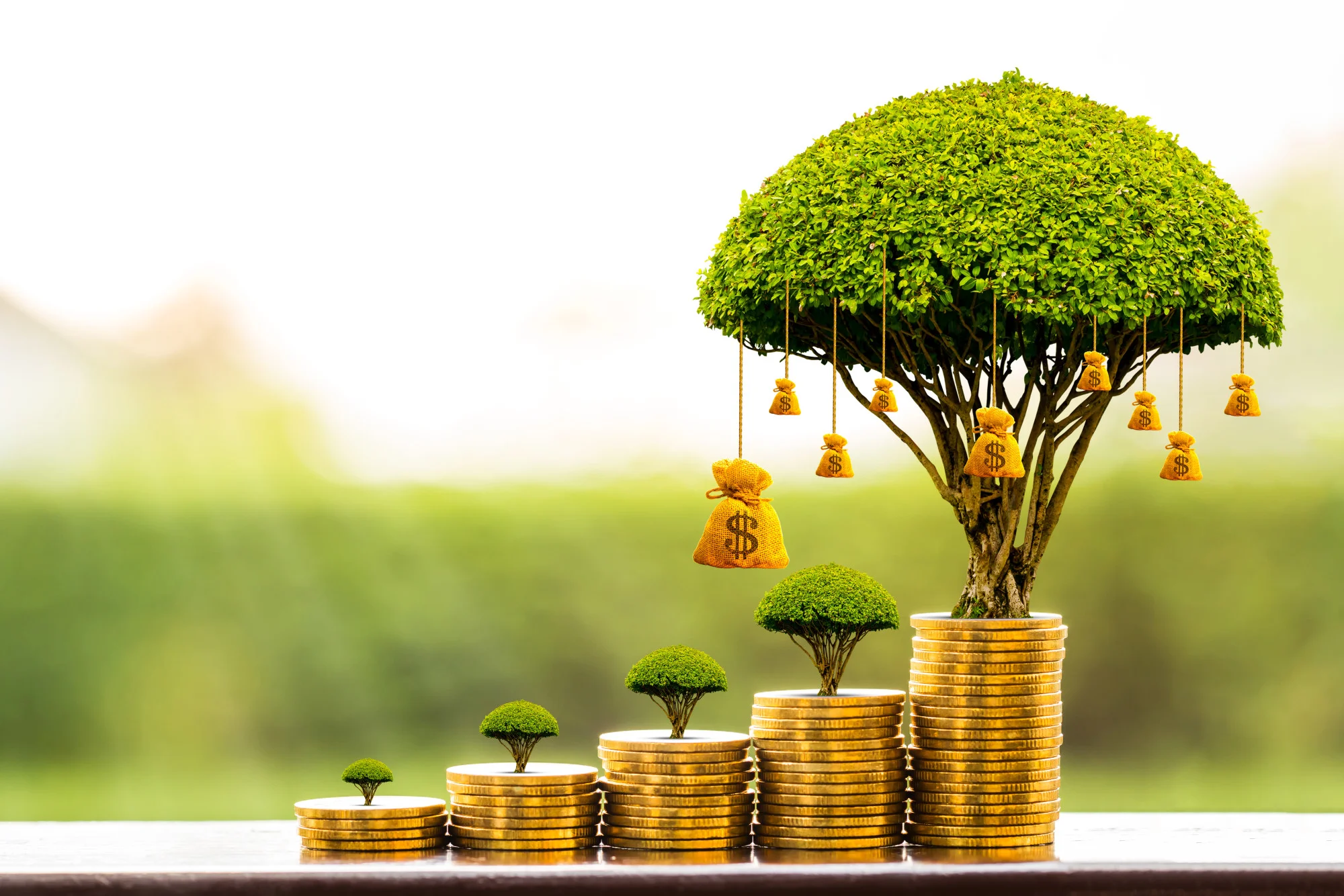 If you want to be good with your money, there are a few things you should remember. Check out this guide for some of our best personal finance tips.