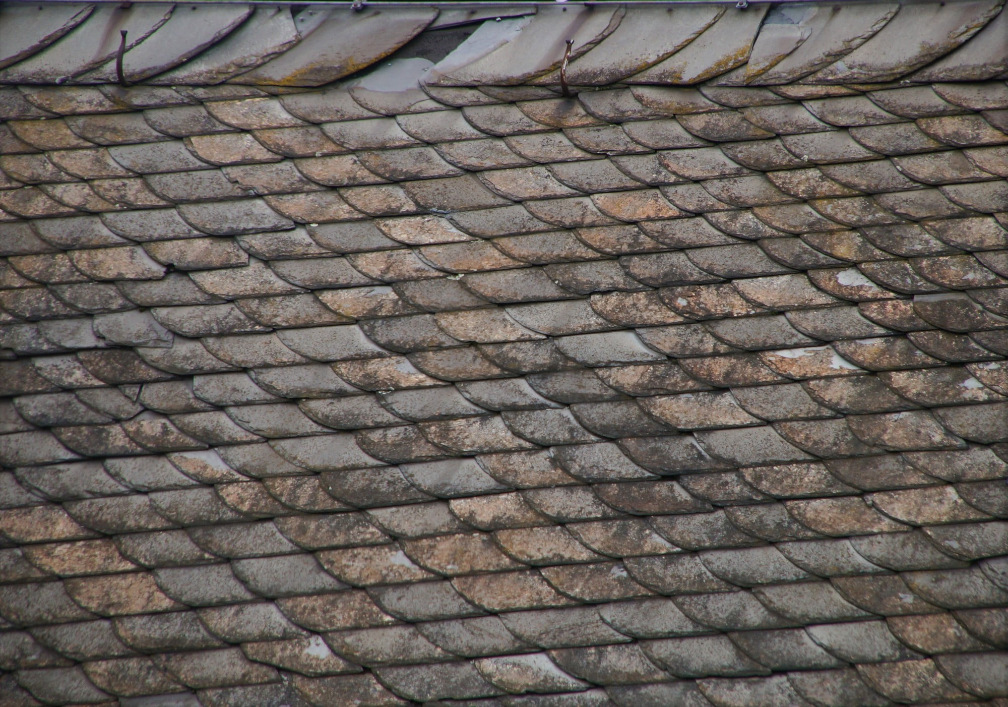 How long has it been since you had a new roof? If you're wondering when it's time to replace your old roof, here's what you should know.