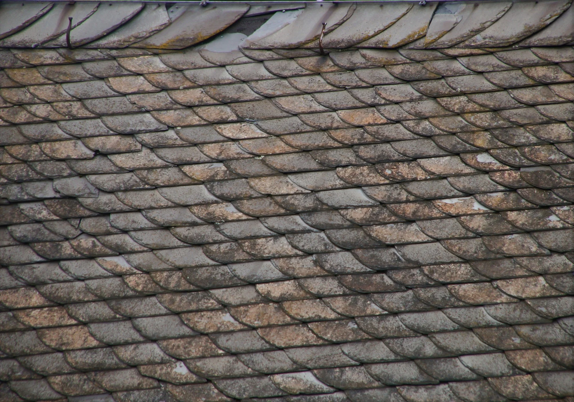 How long has it been since you had a new roof? If you're wondering when it's time to replace your old roof, here's what you should know.