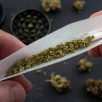 If you're looking to perfect your blunt rolling skills for the perfect, slow burn, click here to explore helpful tips on how to roll a blunt.