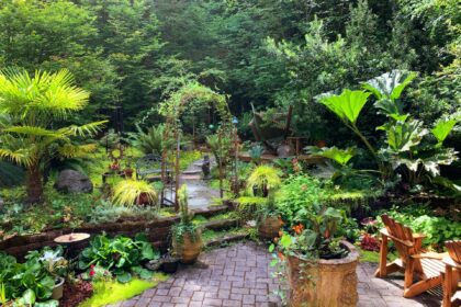 Ways to Create a Beautiful Backyard Garden