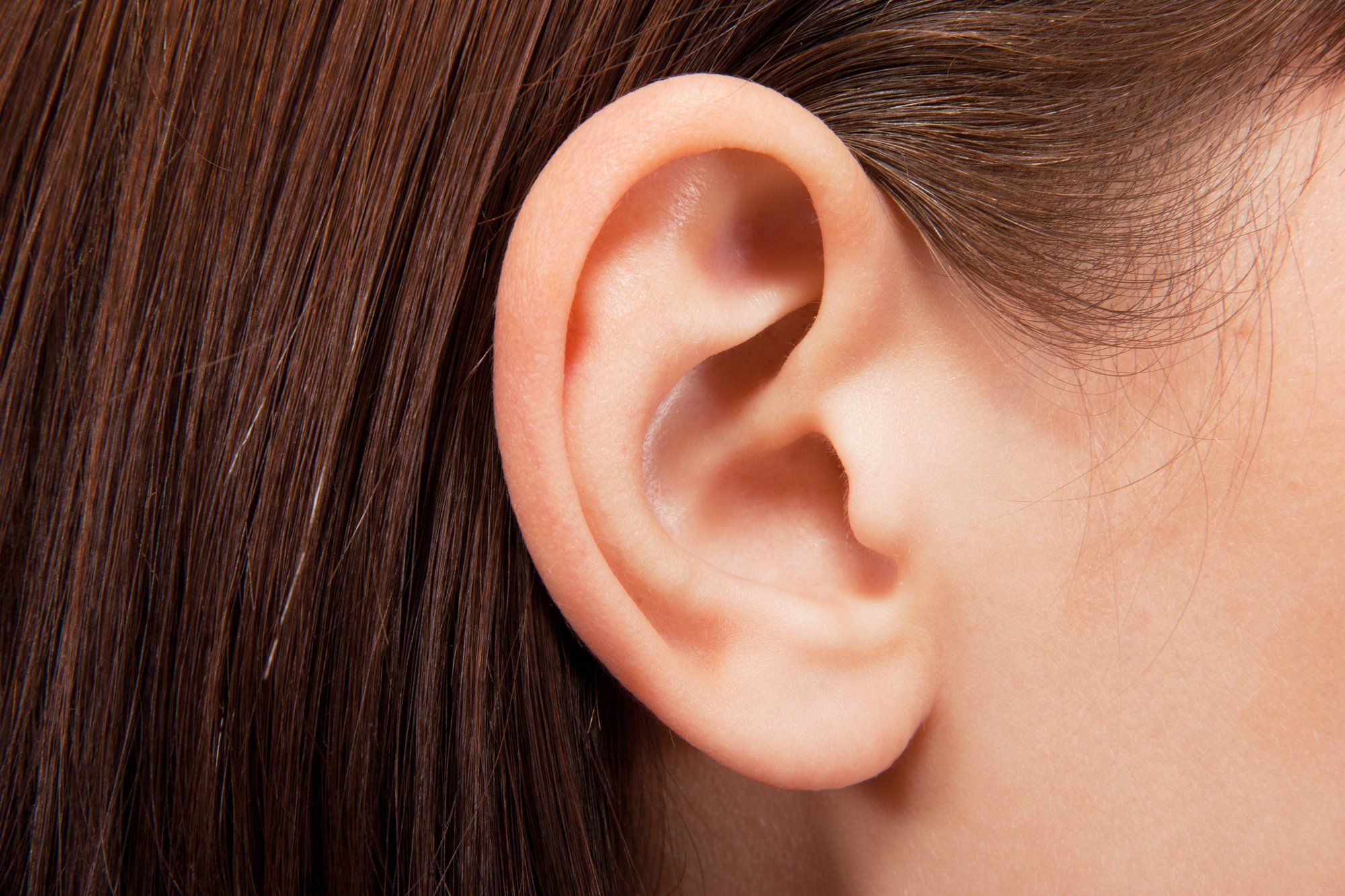 If you are experiencing partial hearing loss or ringing in your ears, you might need to get your ears cleaned. Learn how often to do this here.