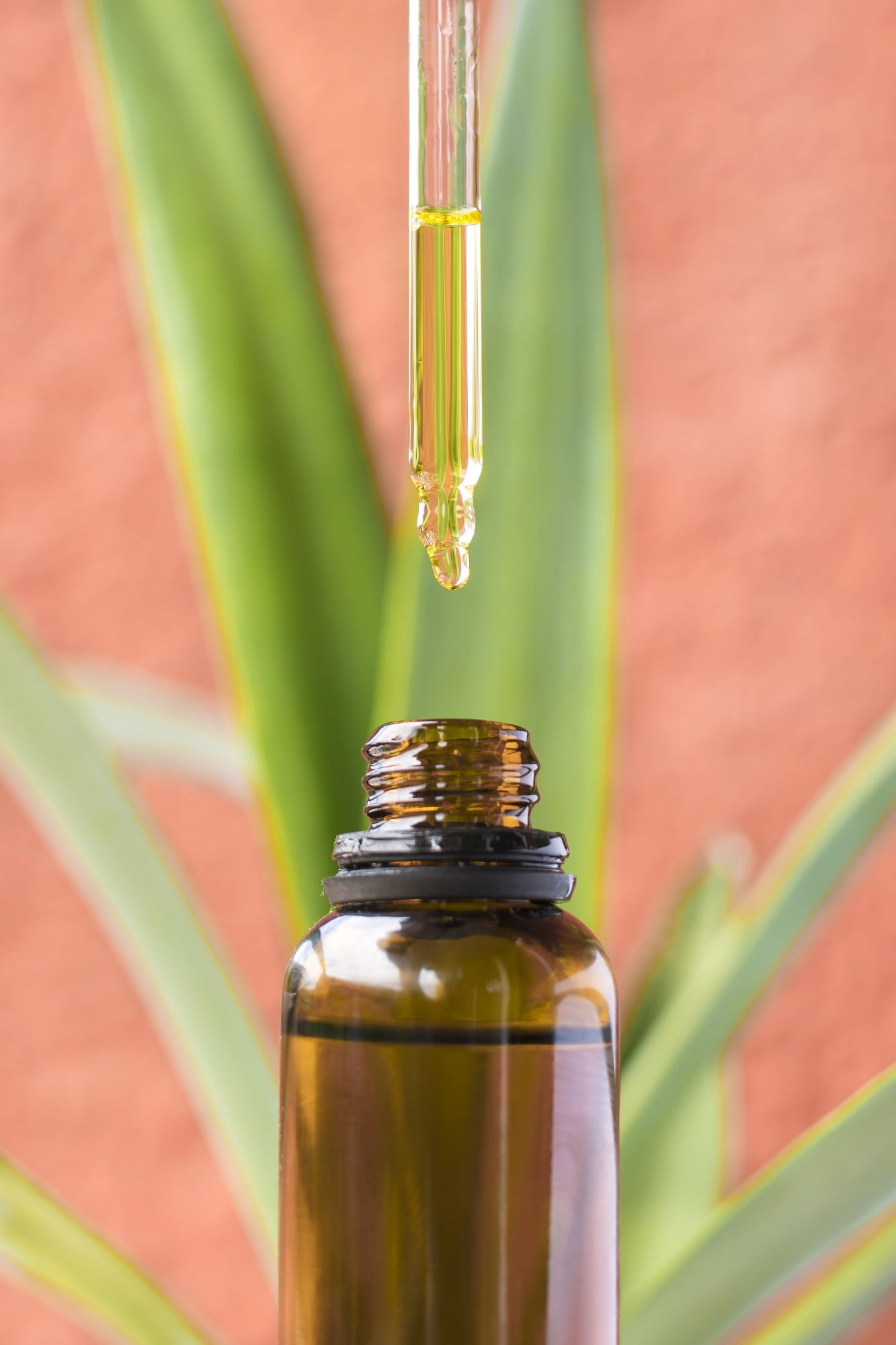 Both liquid forms of CBD that's derived from hemp plants, click here to explore the differences between CBD tincture vs oil.