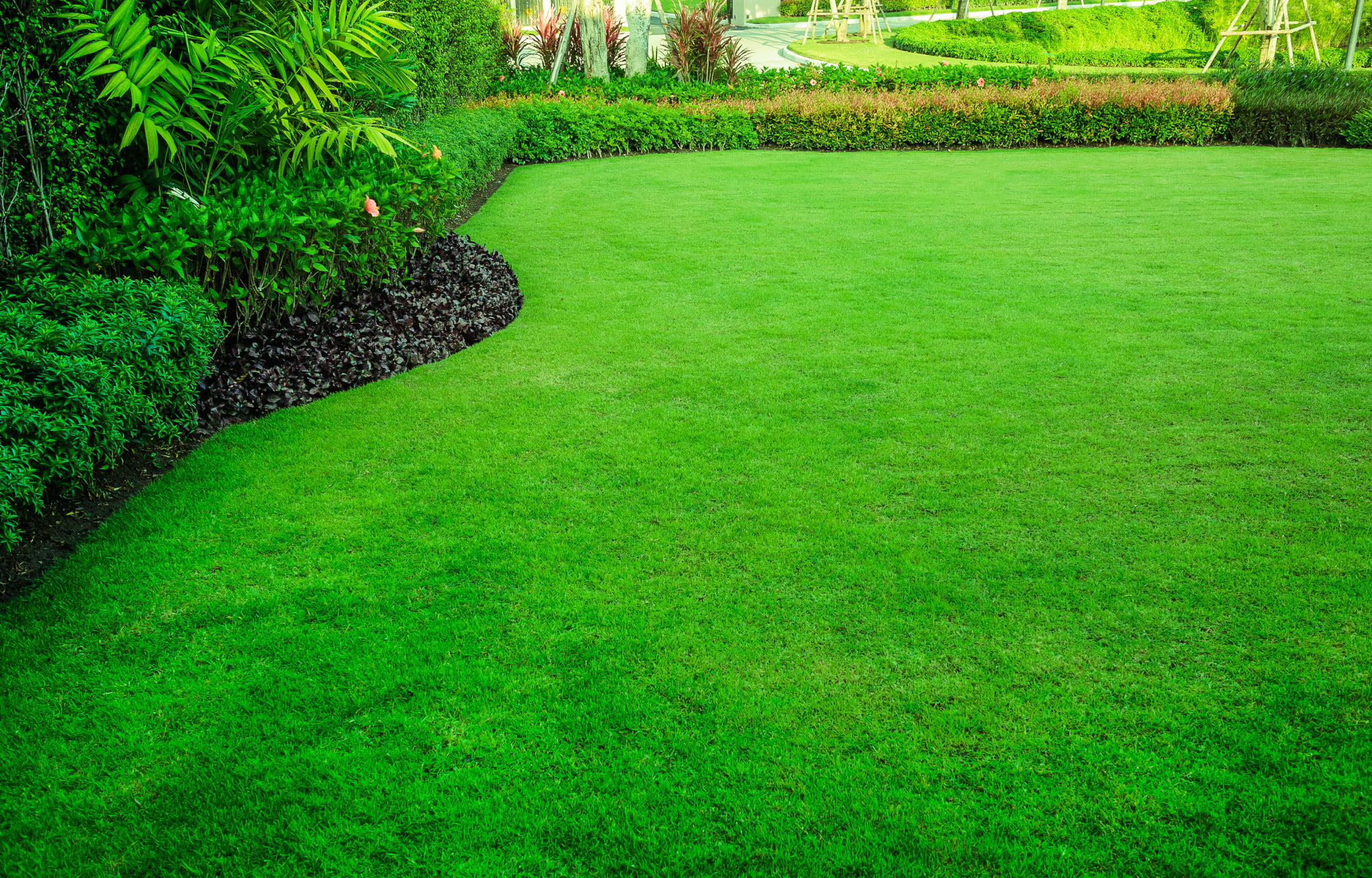 If you want to have a beautiful lawn, there are several things you need to do. Check out this guide for some tips on how to get green grass.