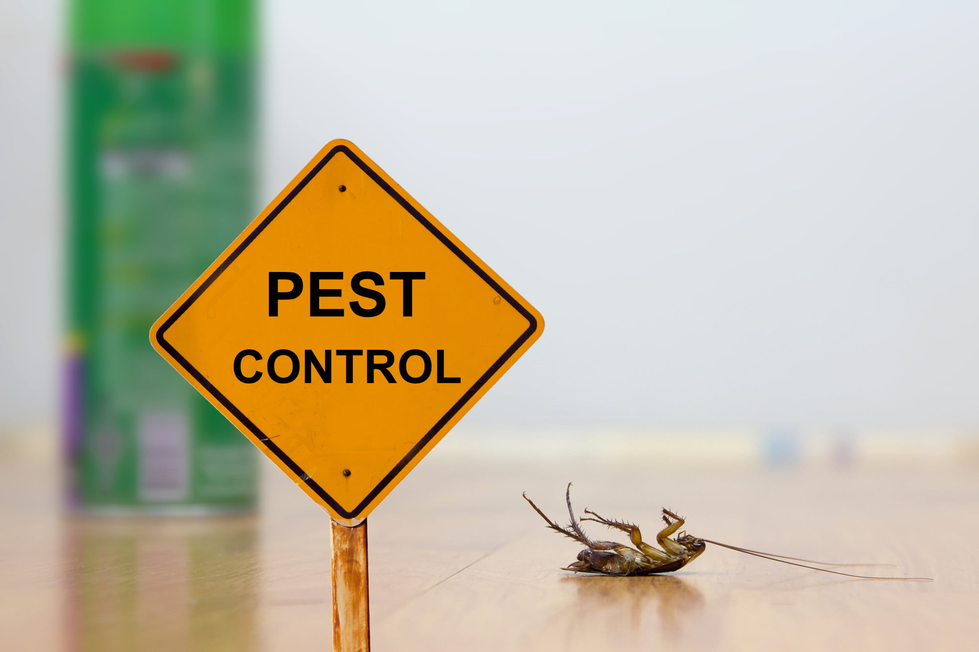 If you're dealing with an infestation of uninvited pests in your home, click here to find out why you're better off hiring professional pest control!