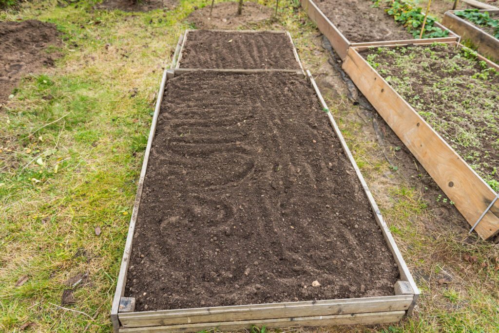 The Benefits Of Black Mulch For Your Garden - Finding Farina