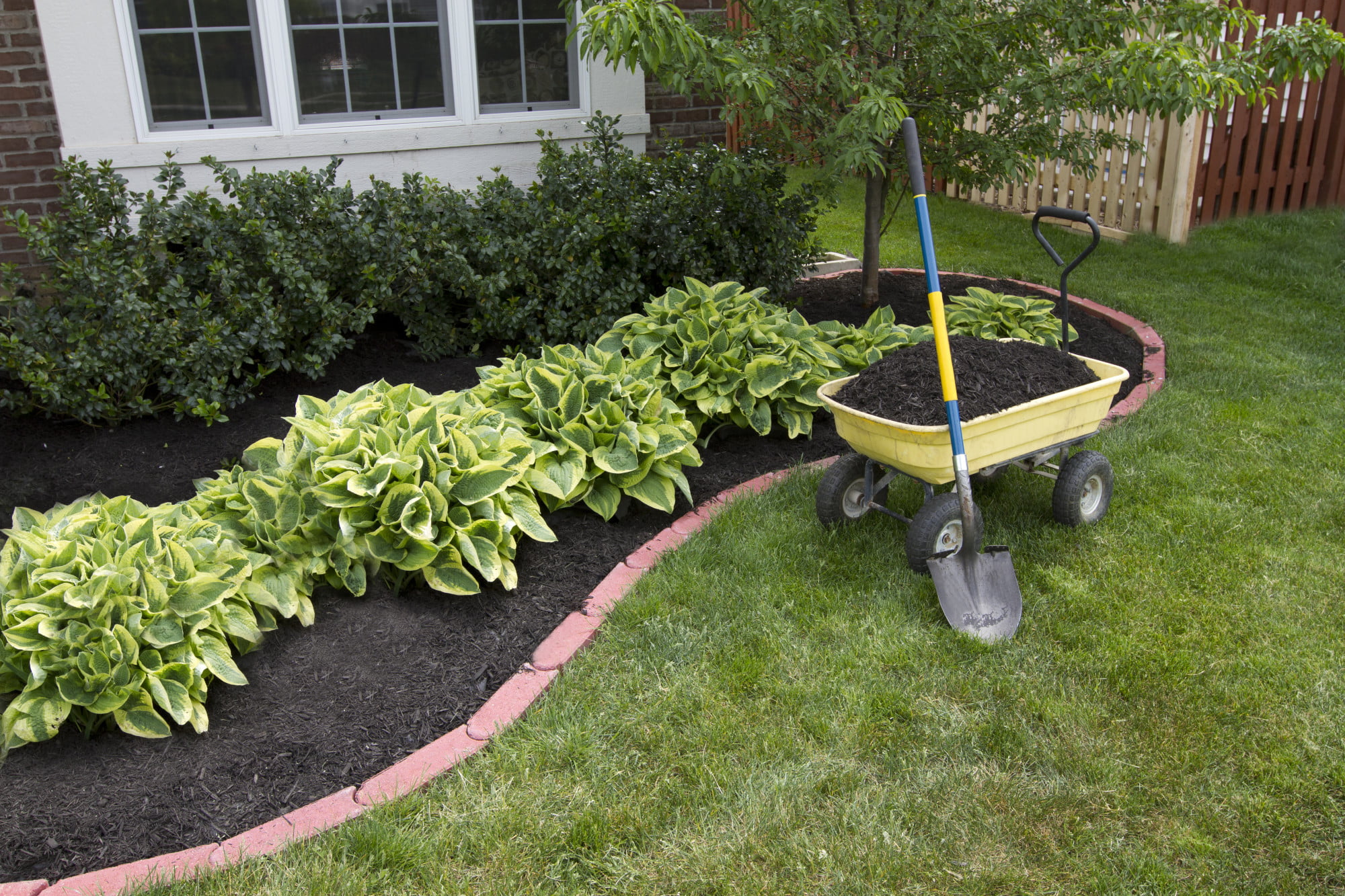 Are you looking to redo your home's landscaping? Click here for a complete beginner's guide to landscape renovation to give you some great ideas.