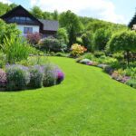 It's important to take care of your lawn throughout the year. Here are a few essential tips to help you keep your lawn looking great.