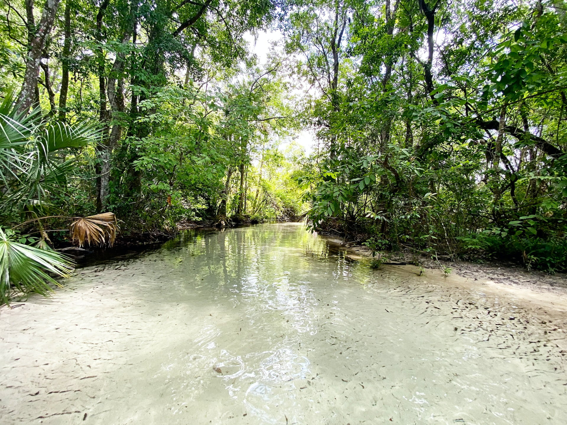 silver-glen-springs-florida-where-the-lazy-days-of-summer-never-end