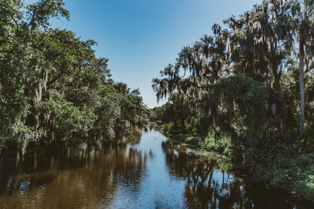 An incredible natural resource exists in Silver Glen Springs Florida. It is where strangers become friends, and families come together to make memories.