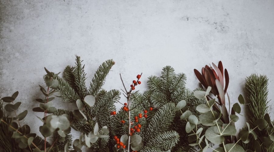 5 Reasons Why a Wooden Puzzle Makes the Perfect Christmas Gift