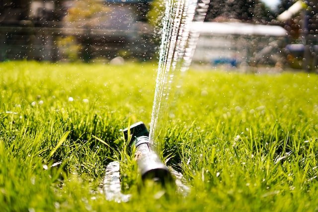 Why Is a Proper Irrigation System Design Important For Your Landscape?