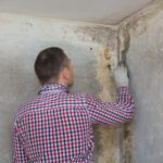 Are you wondering in your home has a mold problem? Click here for five great reasons you should do mold testing in your home.