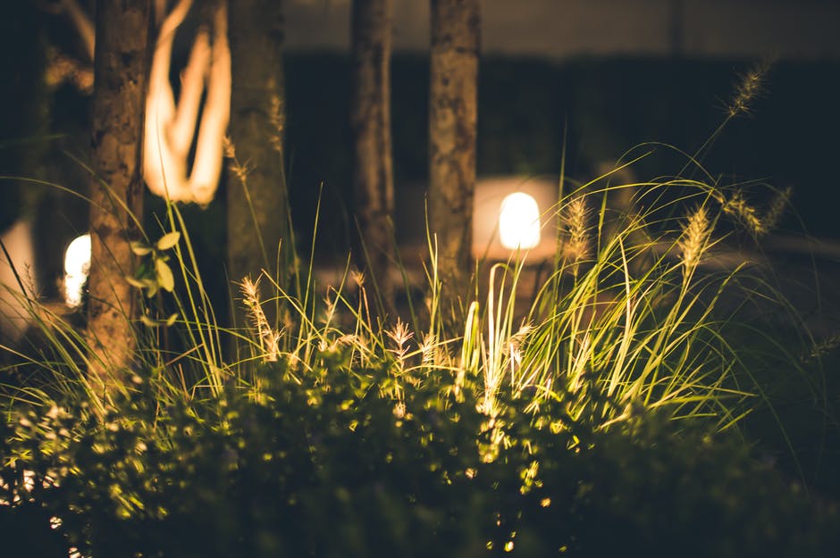 Are you looking to add a little extra lighting to your landscape? Read here for a guide to the different types of landscape lighting to find your match.