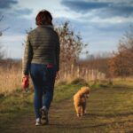 Hiring the Best Dog Walkers and Sitters Online in Brisbane: A Step-by-Step Guide