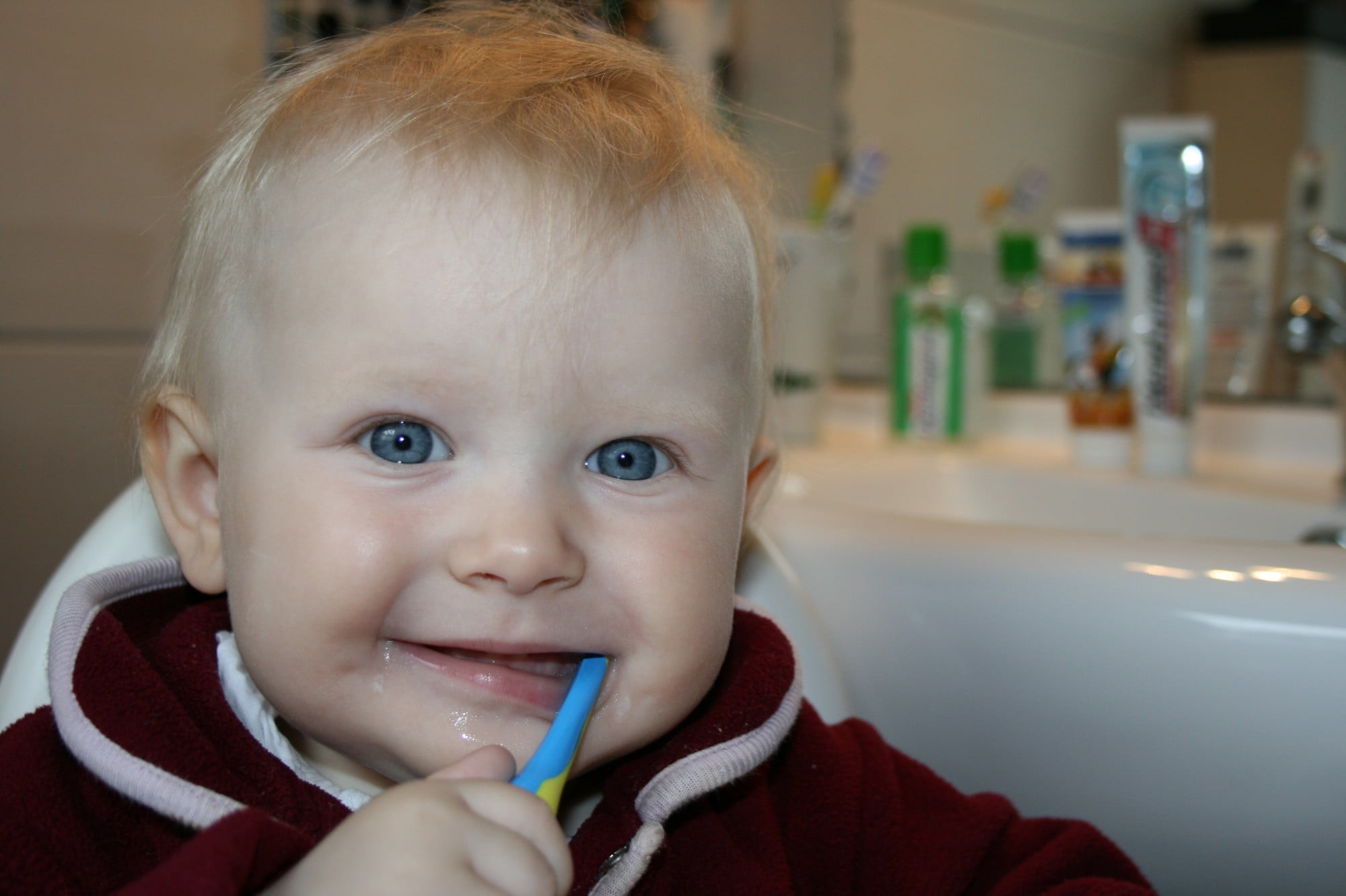 It is important for your child to learn how to properly brush their teeth. Here's a quick guide on how to teach your little one strong tooth brushing habits.