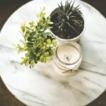 Are you decorating your home and debating whether you should get real or faux plants? Here's a quick guide to help you find the perfect plants for you.