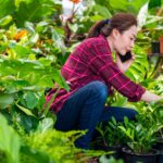 How a Hot Summer Can Damage Your Garden