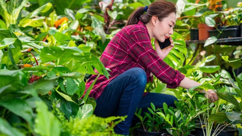 How a Hot Summer Can Damage Your Garden