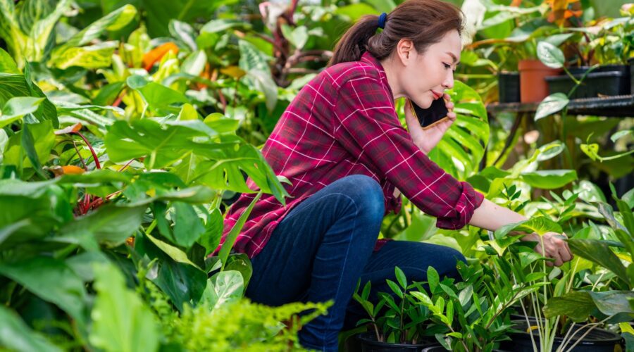 How a Hot Summer Can Damage Your Garden