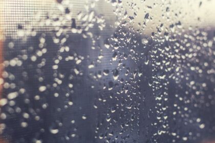 Restoring Your Home to Its Former Glory: Professional Water Damage Restoration Services