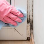 Getting rid of mold in your home involves knowing what can hinder your progress. Here are common mold removal errors and how to avoid them.