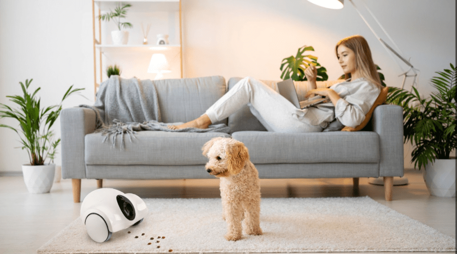 The GULIGULI Pet Companion Robot – A Game Changer for Pet Care