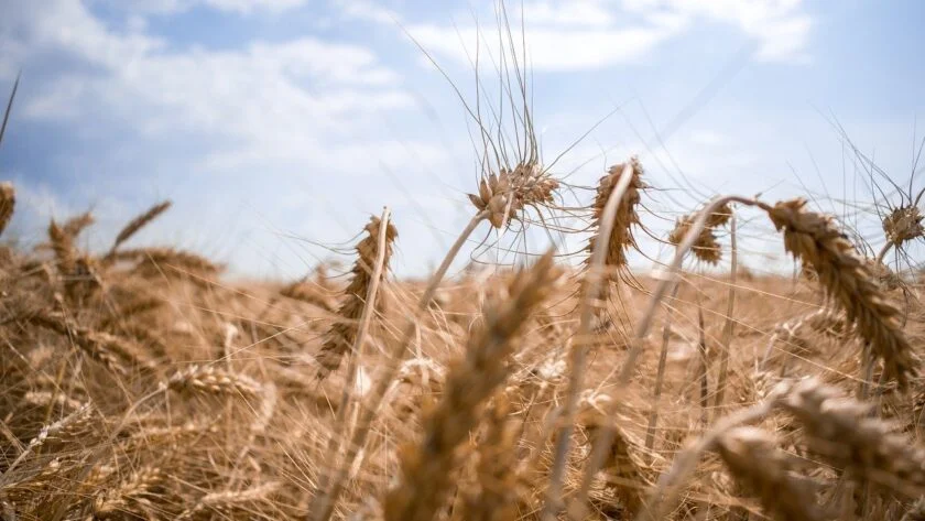 What You Need to Know About Trading Commodities on the COMEX