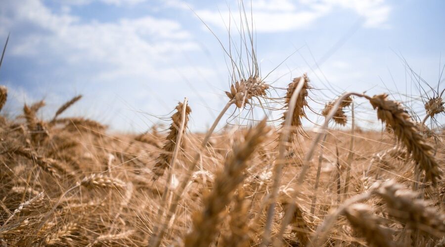 What You Need to Know About Trading Commodities on the COMEX