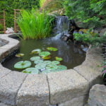Enhance the beauty of your landscape with these creative hardscape ideas. From stunning patio designs to unique walkways, there's something for everyone.