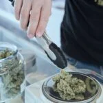 The Ultimate Guide to Different Types of Medical Marijuana