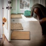 Eco-Friendly Dog Doors: Finding Sustainable & Functional Pet Doors