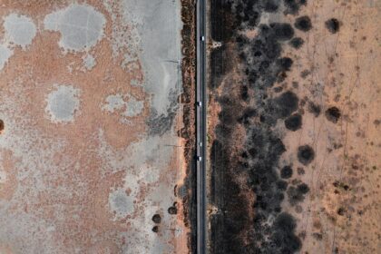 How to Choose the Right Mold Remediation Services for Your Home