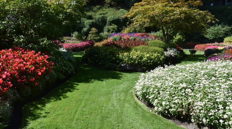 Landscape Design - A Step-By-Step Guide