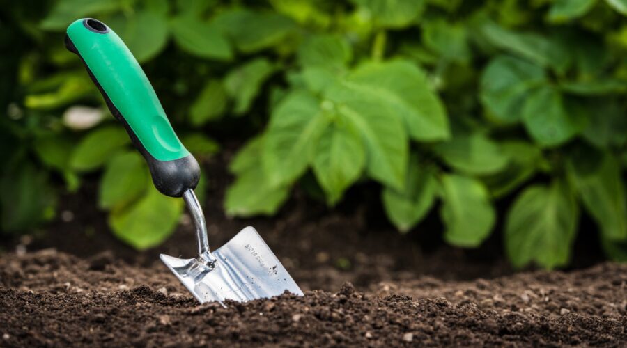 Learn about the real-world impact of investment in green projects on the environment through an informative case research study.