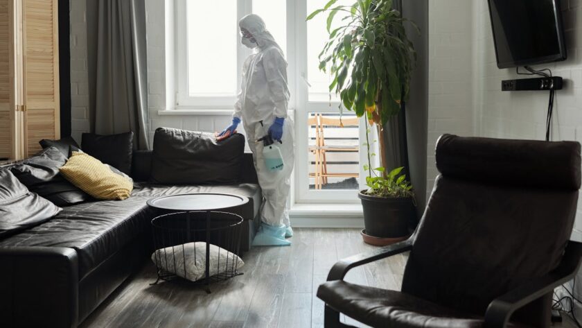 A Comprehensive Guide to Minimizing Pest Intrusion in Homes
