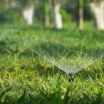 The Sustainable Guide to Maintaining a Healthy Lawn through Efficient Irrigation Practices