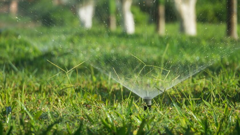 The Sustainable Guide to Maintaining a Healthy Lawn through Efficient Irrigation Practices